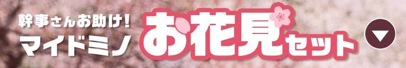 マイドミノ花見セット