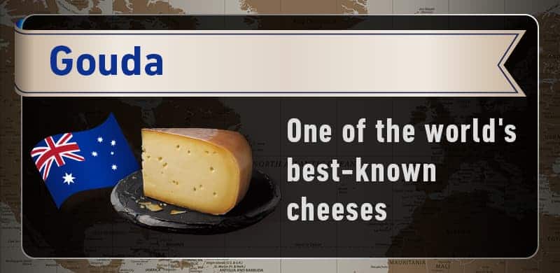 gouda