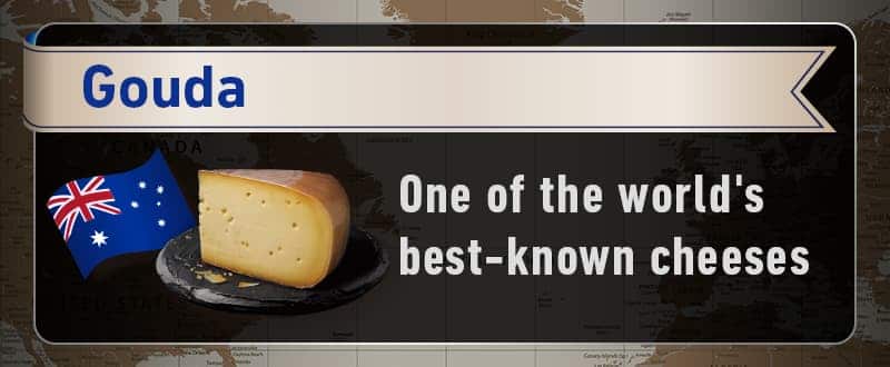 gouda