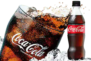 コカ・コーラゼロ 500mlペットボトル